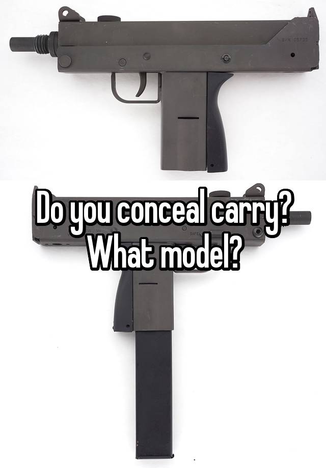 Do you conceal carry? What model?