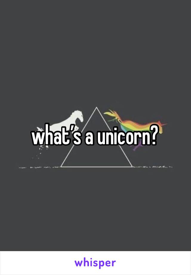 what’s a unicorn?