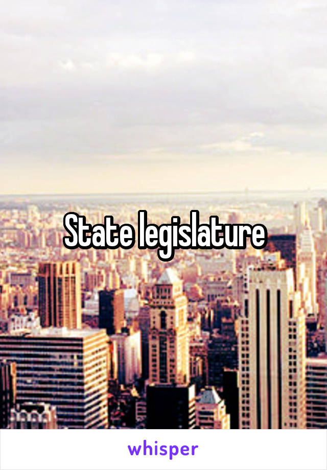 State legislature