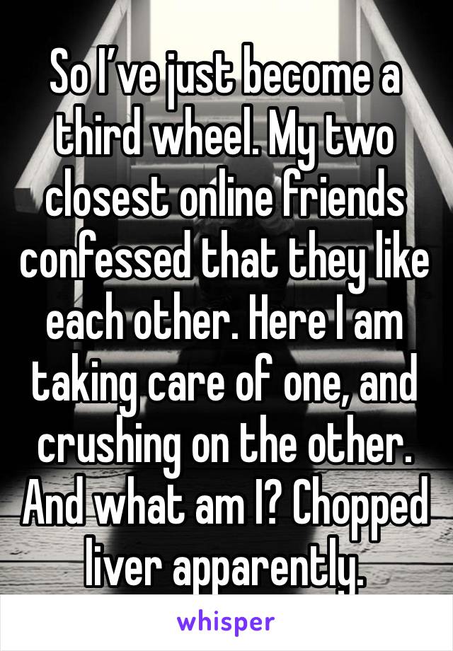 So I’ve just become a third wheel. My two closest online friends confessed that they like each other. Here I am taking care of one, and crushing on the other. And what am I? Chopped liver apparently.