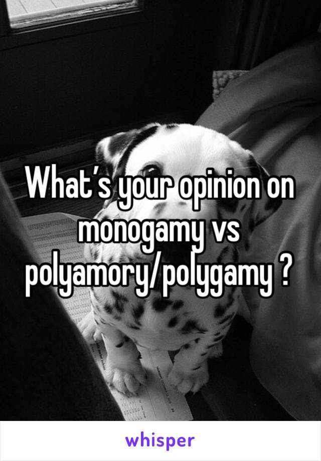 What’s your opinion on monogamy vs polyamory/polygamy ?