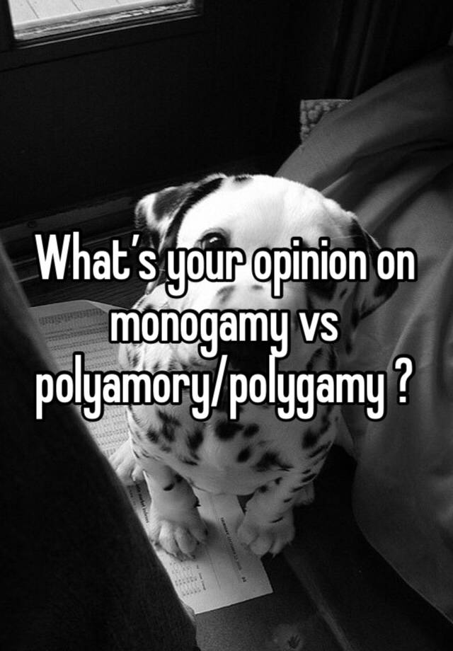 What’s your opinion on monogamy vs polyamory/polygamy ?