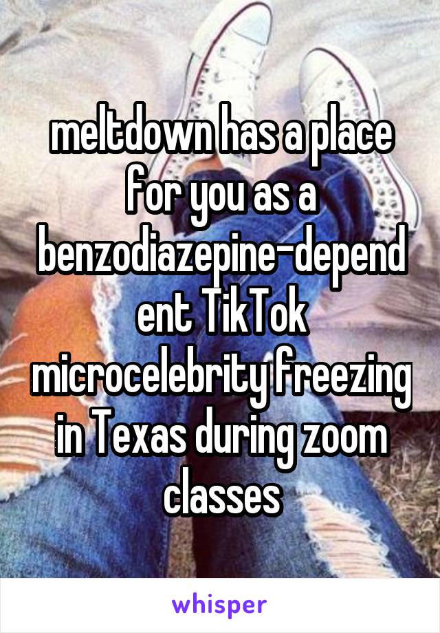 meltdown has a place for you as a benzodiazepine-dependent TikTok microcelebrity freezing in Texas during zoom classes