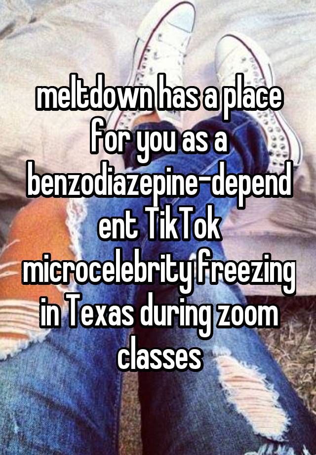 meltdown has a place for you as a benzodiazepine-dependent TikTok microcelebrity freezing in Texas during zoom classes