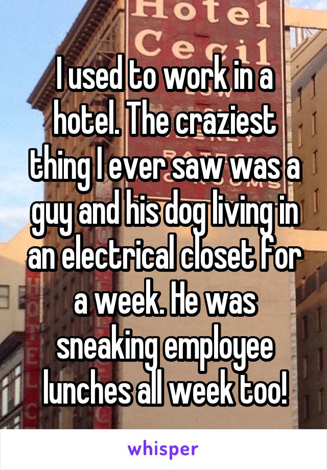 I used to work in a hotel. The craziest thing I ever saw was a guy and his dog living in an electrical closet for a week. He was sneaking employee lunches all week too!