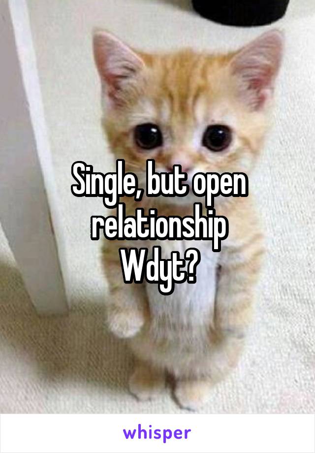 Single, but open relationship
Wdyt?