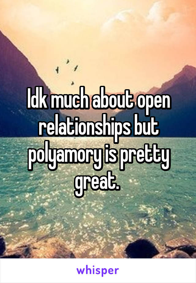 Idk much about open relationships but polyamory is pretty great. 