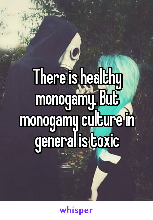 There is healthy monogamy. But monogamy culture in general is toxic