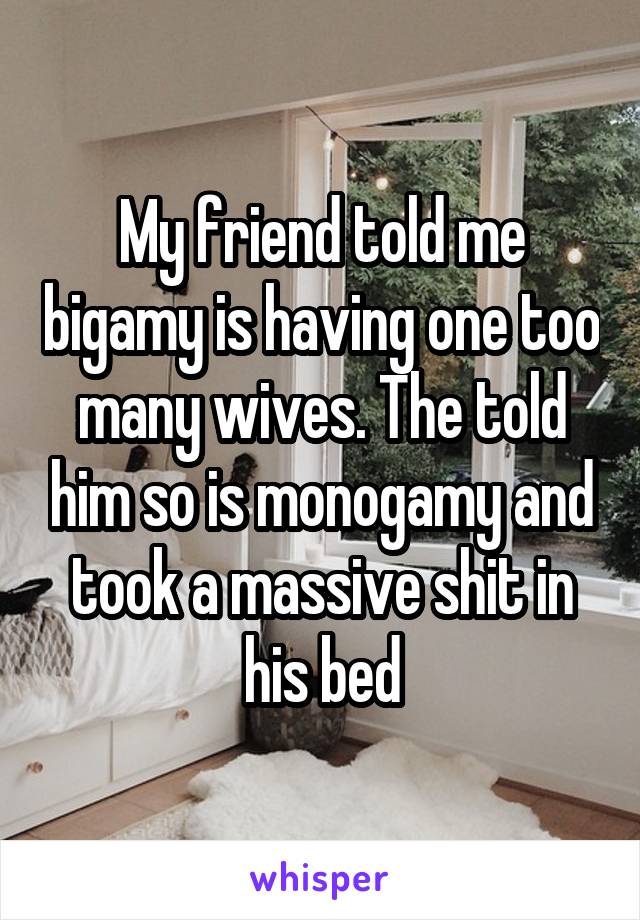 My friend told me bigamy is having one too many wives. The told him so is monogamy and took a massive shit in his bed