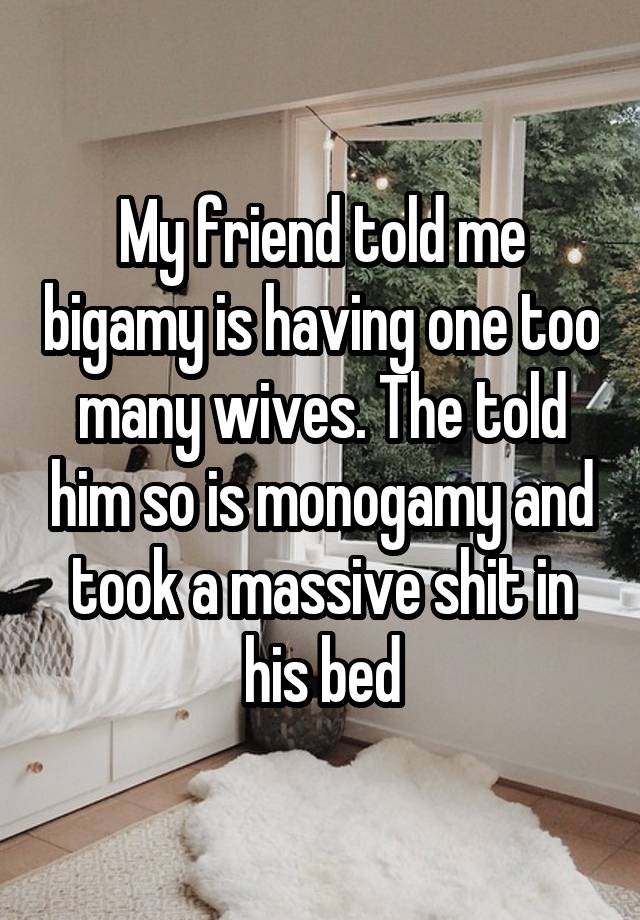 My friend told me bigamy is having one too many wives. The told him so is monogamy and took a massive shit in his bed