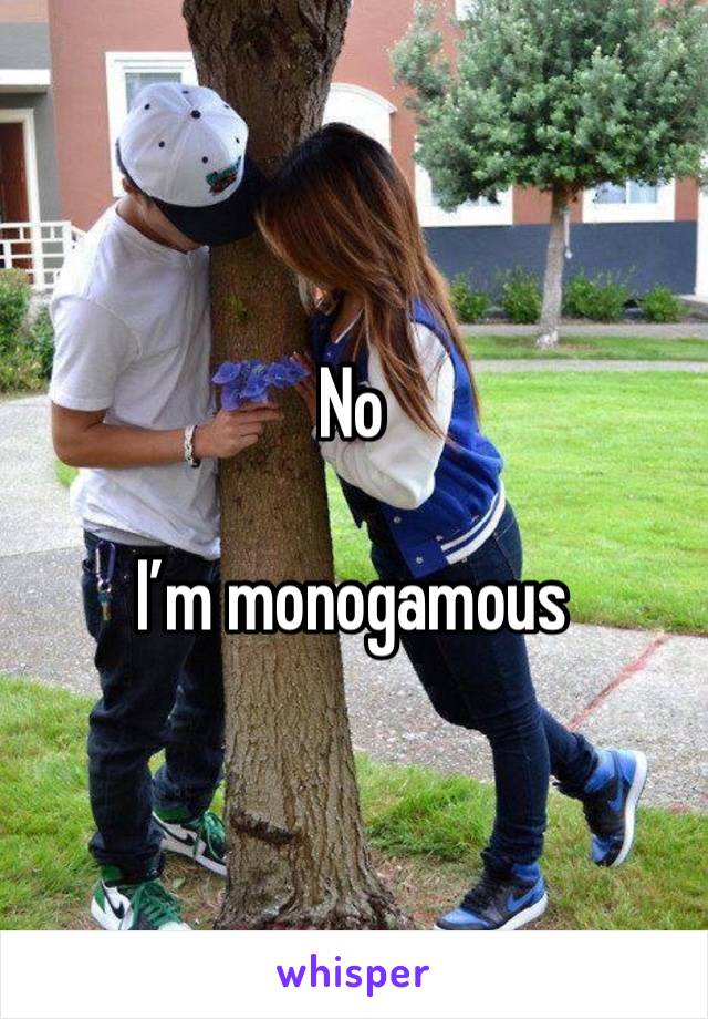 No

I’m monogamous 