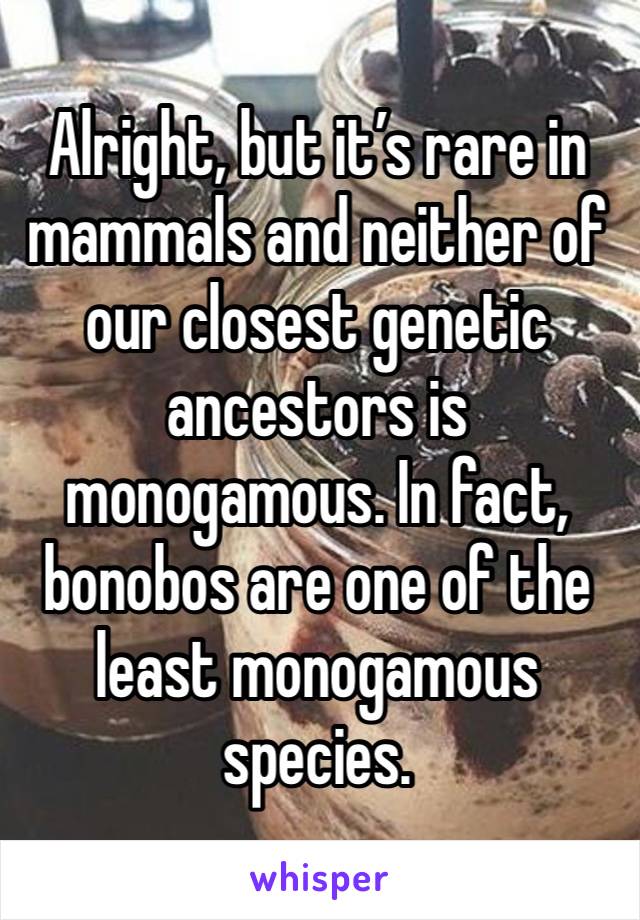 Alright, but it’s rare in mammals and neither of our closest genetic ancestors is monogamous. In fact, bonobos are one of the least monogamous species.