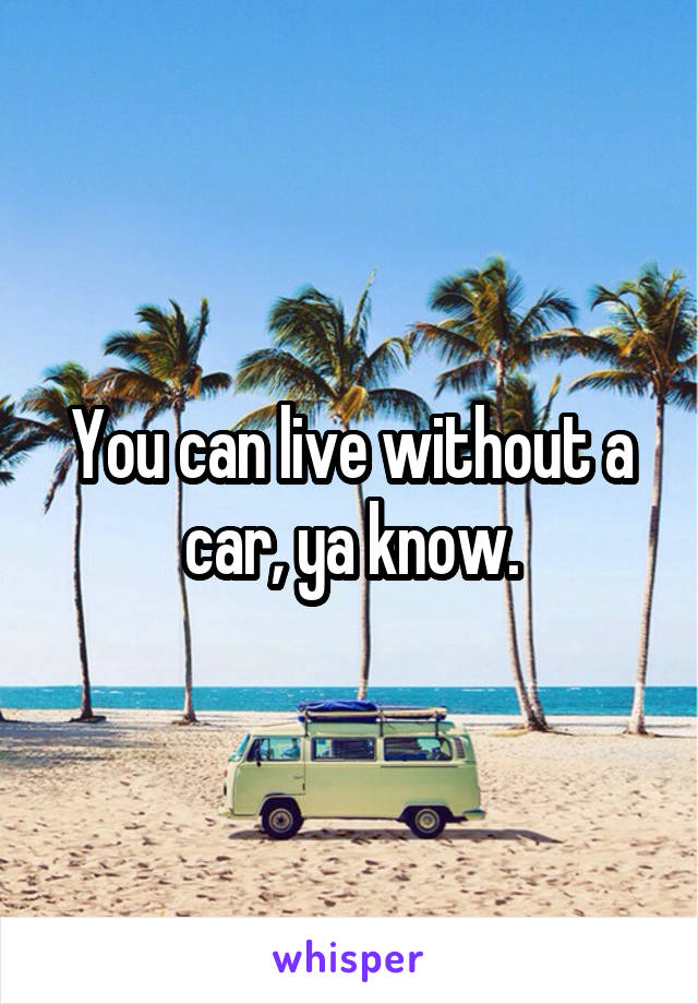 You can live without a car, ya know.