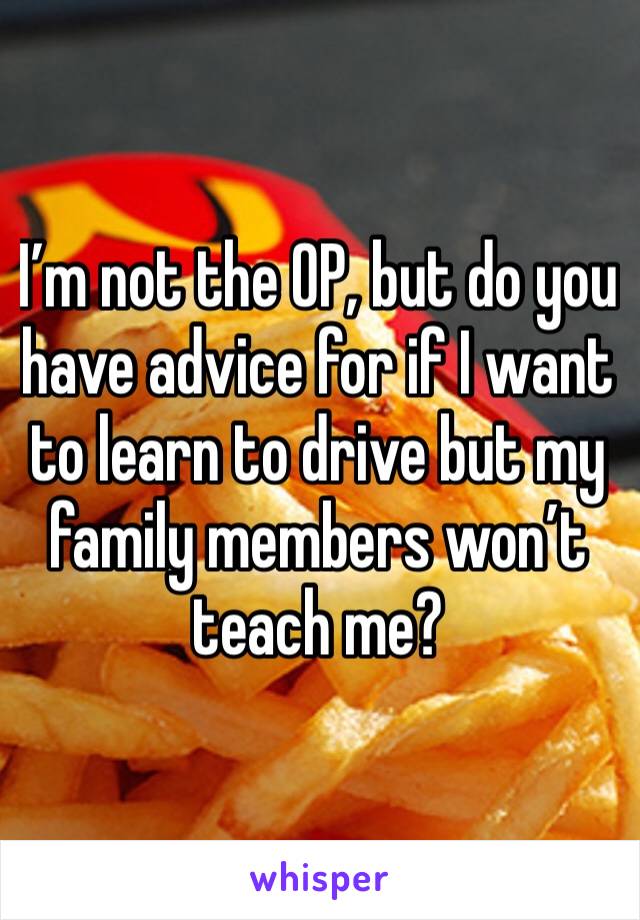 I’m not the OP, but do you have advice for if I want to learn to drive but my family members won’t teach me?