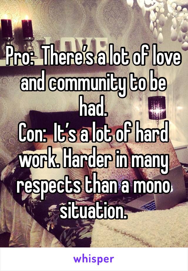 Pro:  There’s a lot of love and community to be had. 
Con:  It’s a lot of hard work. Harder in many respects than a mono situation. 