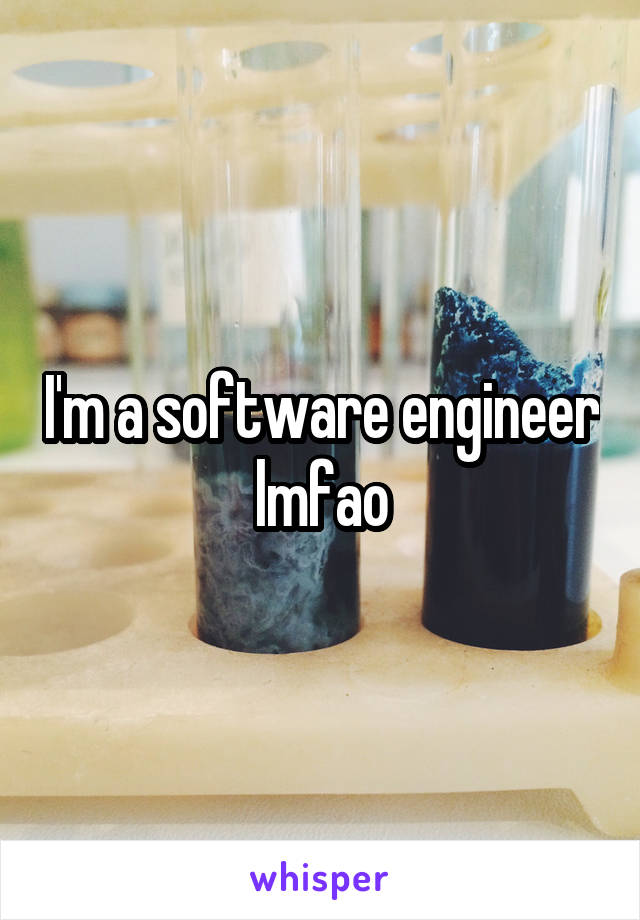 I'm a software engineer lmfao