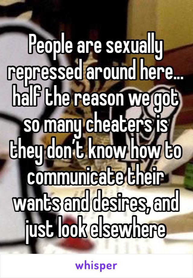 People are sexually repressed around here... half the reason we got so many cheaters is they don’t know how to communicate their wants and desires, and just look elsewhere 