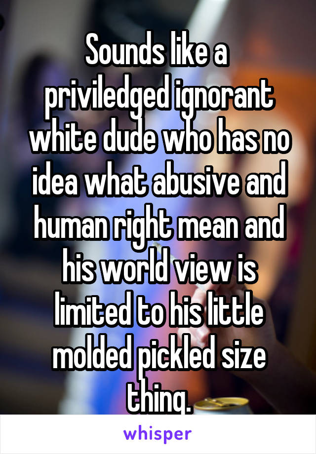 Sounds like a  priviledged ignorant white dude who has no idea what abusive and human right mean and his world view is limited to his little molded pickled size thing.