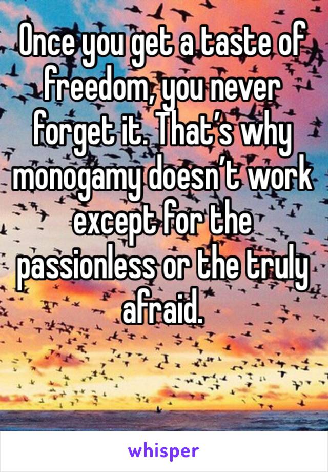 Once you get a taste of freedom, you never forget it. That’s why monogamy doesn’t work except for the passionless or the truly afraid. 