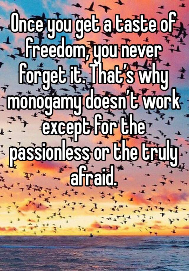 Once you get a taste of freedom, you never forget it. That’s why monogamy doesn’t work except for the passionless or the truly afraid. 