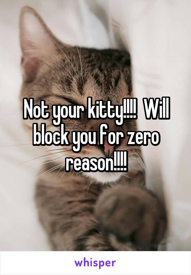 Not your kitty!!!!  Will block you for zero reason!!!!