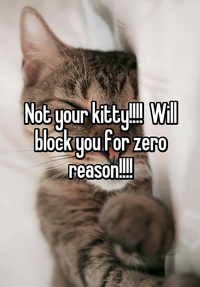 Not your kitty!!!!  Will block you for zero reason!!!!