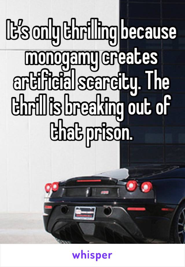 It’s only thrilling because monogamy creates artificial scarcity. The thrill is breaking out of that prison. 