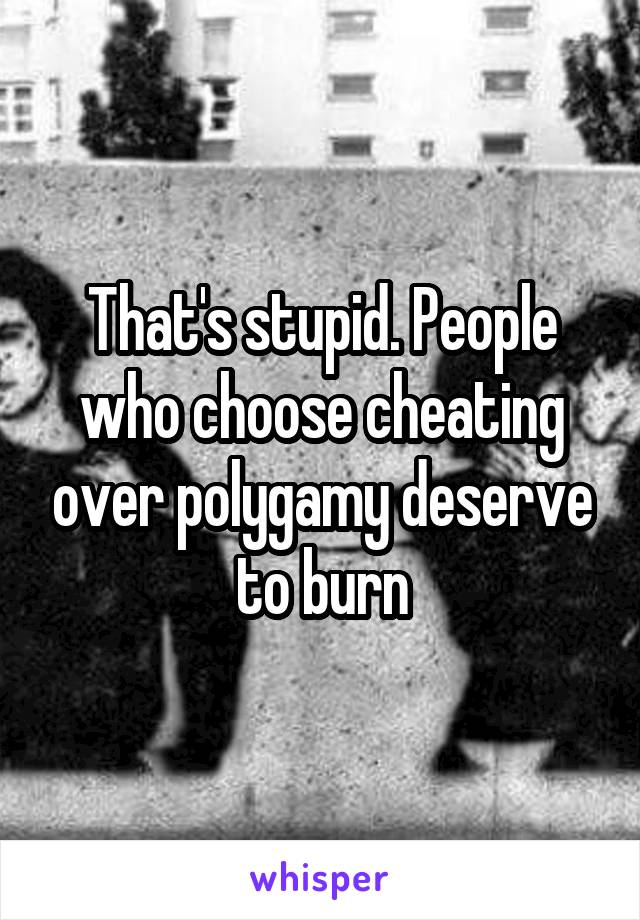 That's stupid. People who choose cheating over polygamy deserve to burn