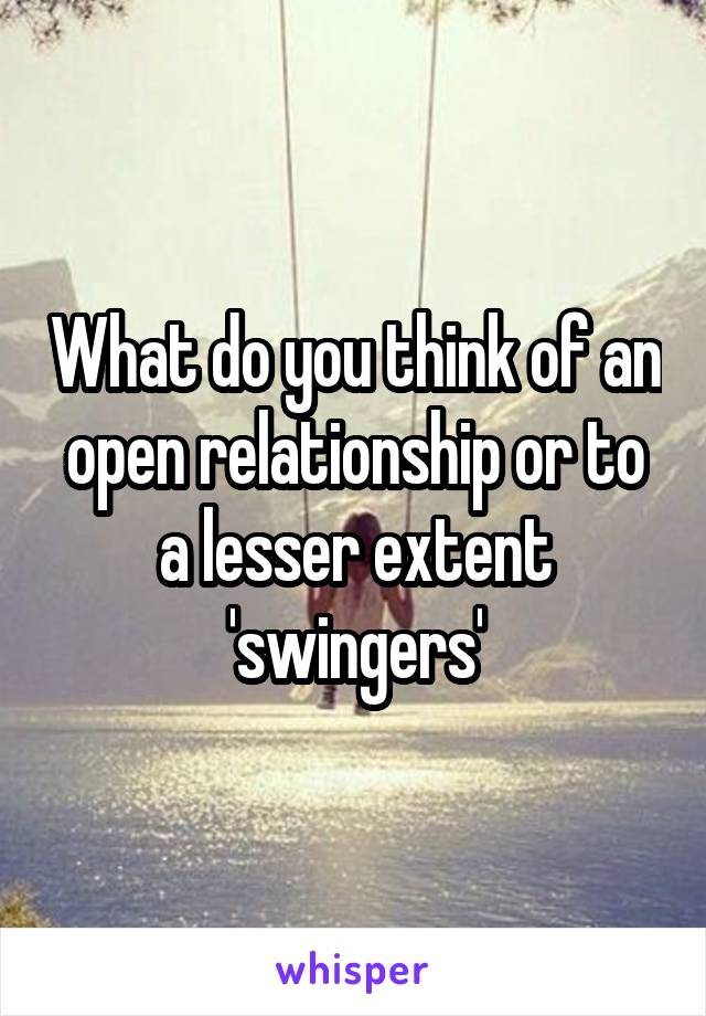 What do you think of an open relationship or to a lesser extent 'swingers'