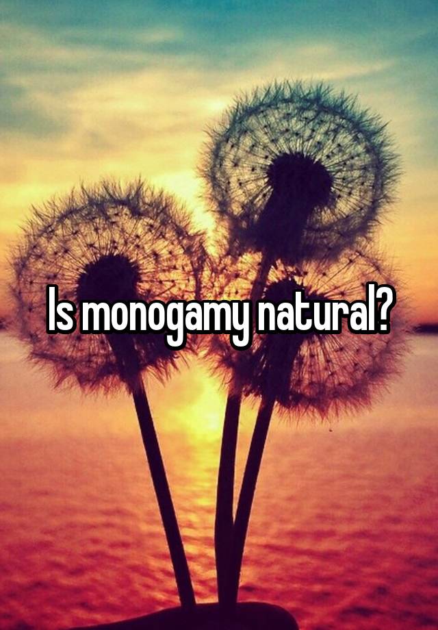 Is monogamy natural?