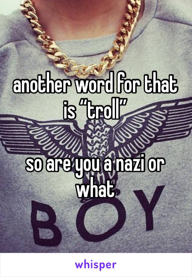 another word for that is “troll”

so are you a nazi or what