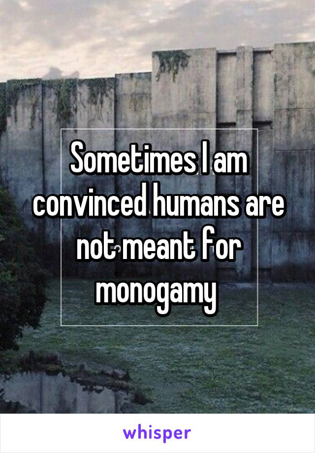 Sometimes I am convinced humans are not meant for monogamy 