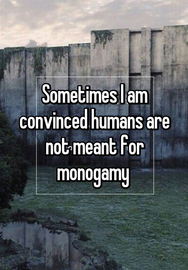 Sometimes I am convinced humans are not meant for monogamy 