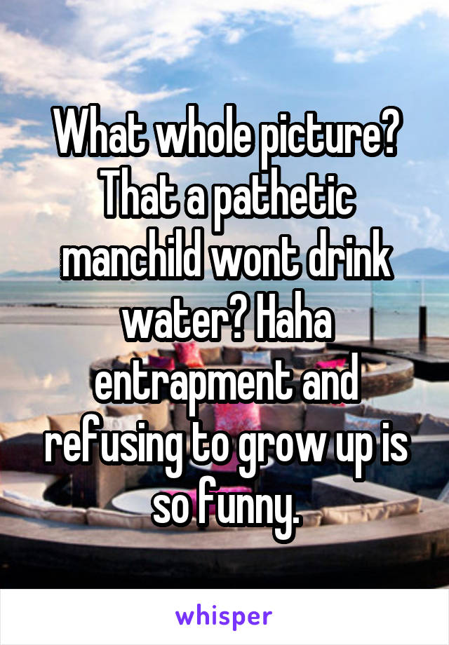 What whole picture? That a pathetic manchild wont drink water? Haha entrapment and refusing to grow up is so funny.