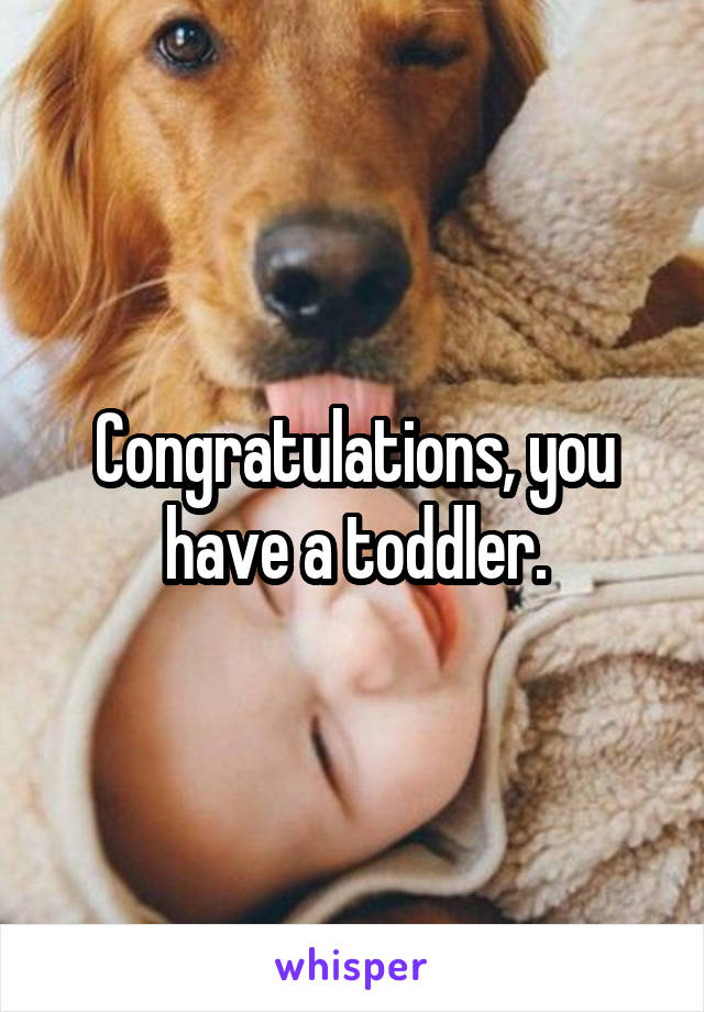 Congratulations, you have a toddler.