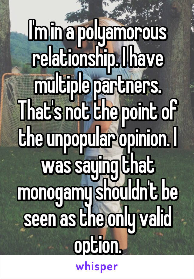 I'm in a polyamorous relationship. I have multiple partners. That's not the point of the unpopular opinion. I was saying that monogamy shouldn't be seen as the only valid option.