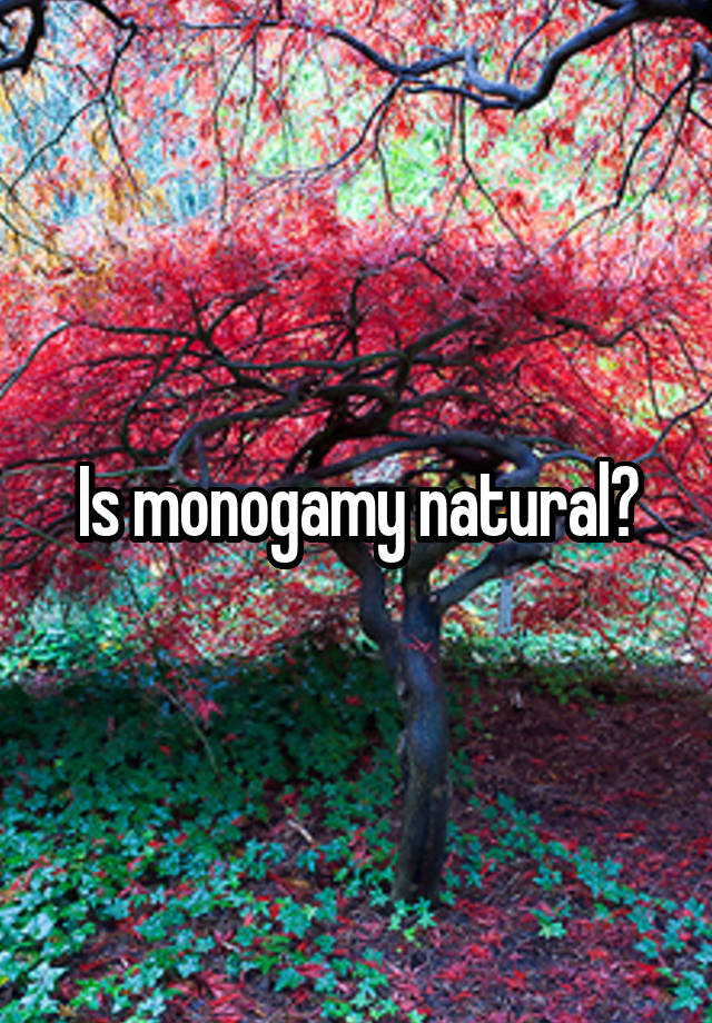 Is monogamy natural?