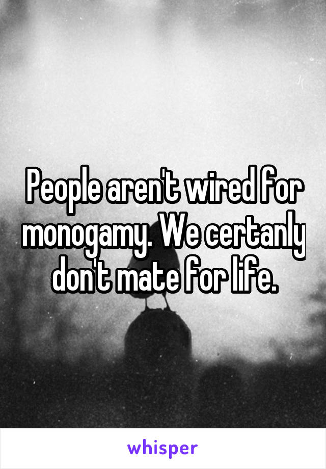 People aren't wired for monogamy. We certanly don't mate for life.