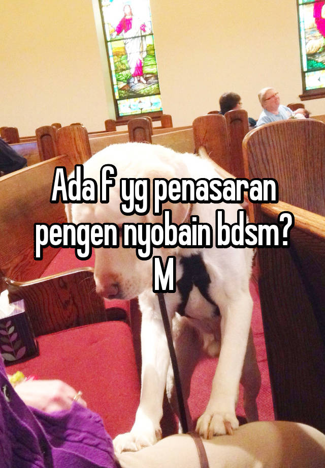 Ada f yg penasaran pengen nyobain bdsm?
M