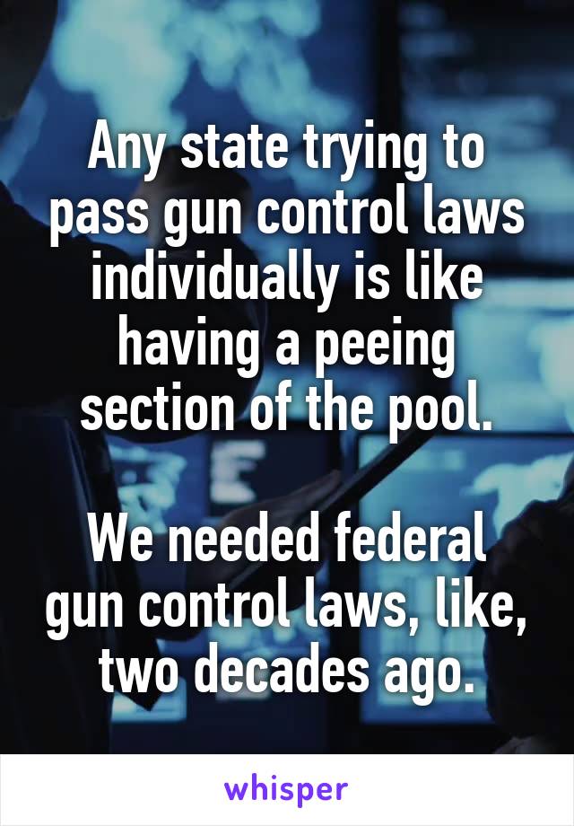 Any state trying to pass gun control laws individually is like having a peeing section of the pool.

We needed federal gun control laws, like, two decades ago.