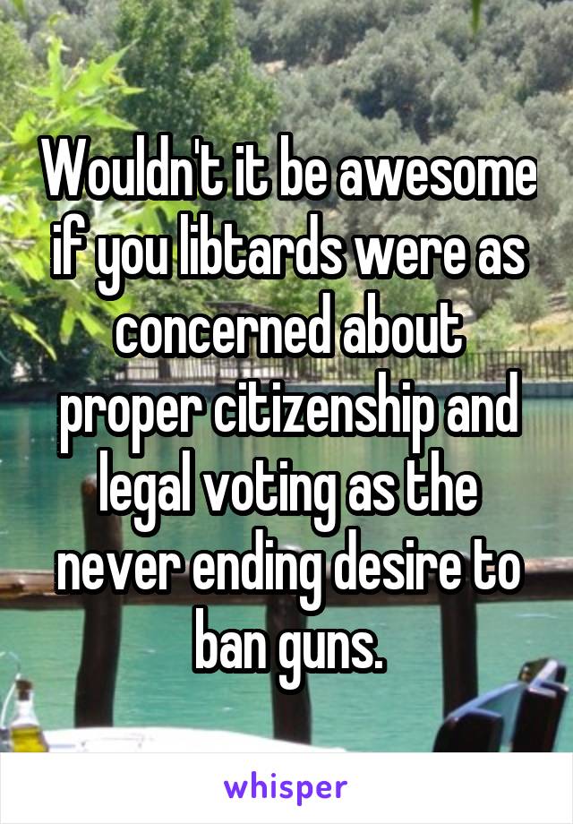 Wouldn't it be awesome if you libtards were as concerned about proper citizenship and legal voting as the never ending desire to ban guns.