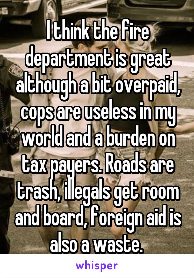 I think the fire department is great although a bit overpaid, cops are useless in my world and a burden on tax payers. Roads are trash, illegals get room and board, foreign aid is also a waste. 