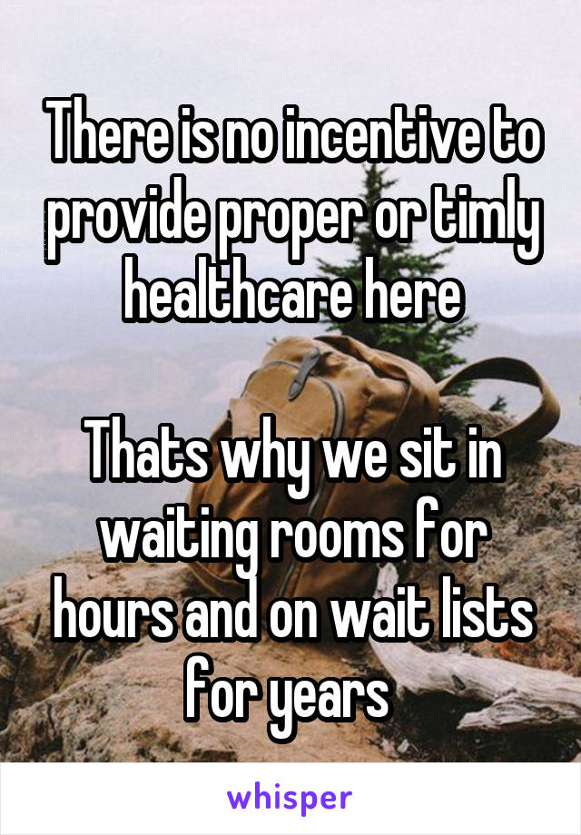 There is no incentive to provide proper or timly healthcare here

Thats why we sit in waiting rooms for hours and on wait lists for years 