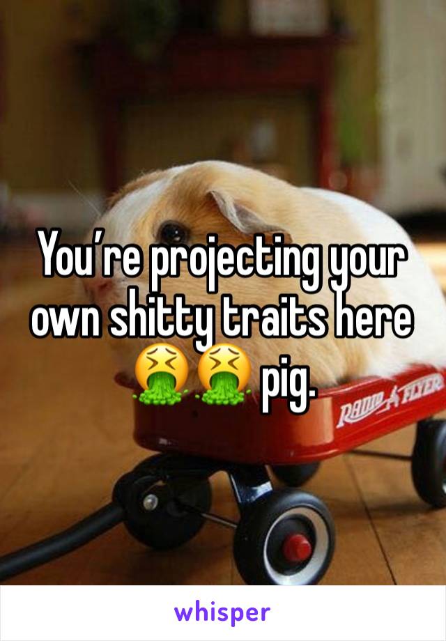 You’re projecting your own shitty traits here 🤮🤮 pig.