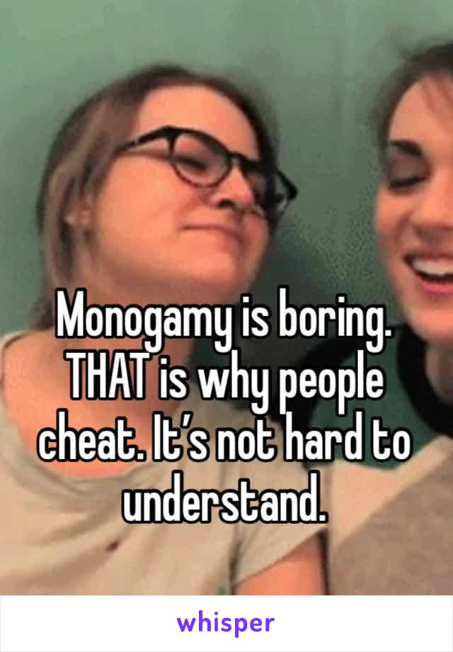 Monogamy is boring. THAT is why people cheat. It’s not hard to understand. 