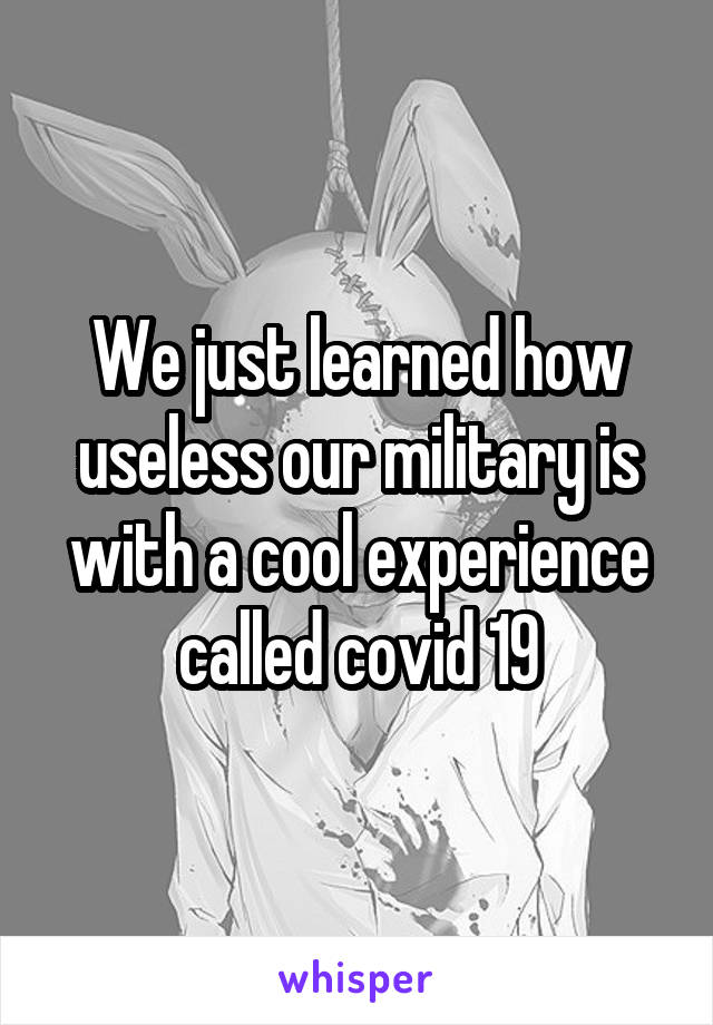 We just learned how useless our military is with a cool experience called covid 19