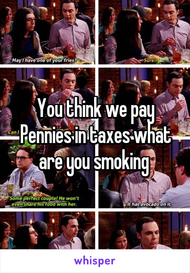 You think we pay Pennies in taxes what are you smoking 