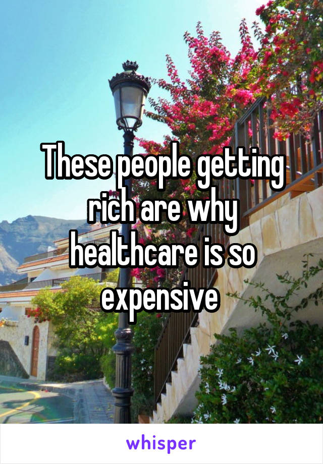 These people getting rich are why healthcare is so expensive 