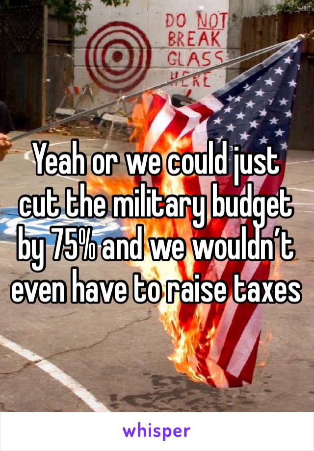 Yeah or we could just cut the military budget by 75% and we wouldn’t even have to raise taxes 