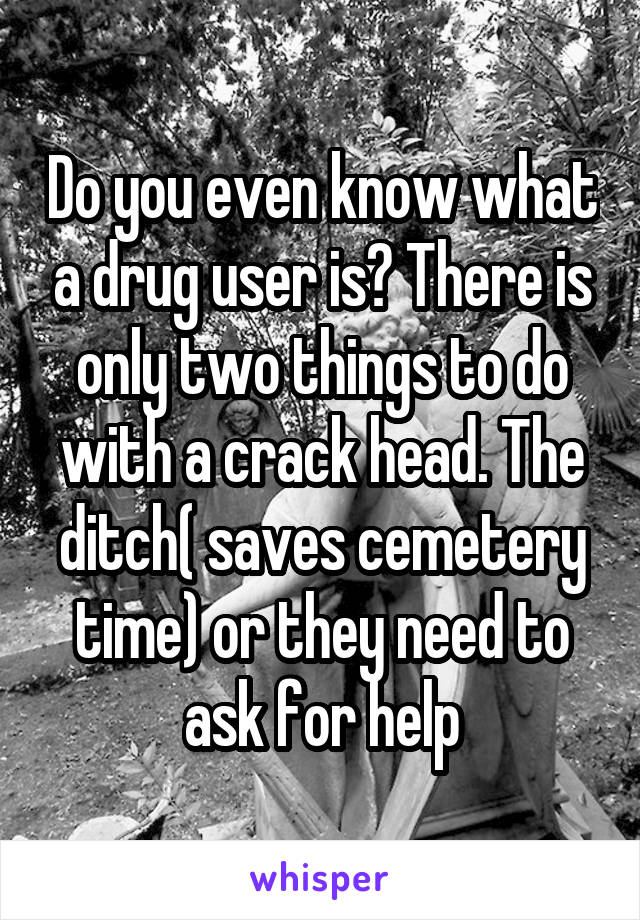 Do you even know what a drug user is? There is only two things to do with a crack head. The ditch( saves cemetery time) or they need to ask for help